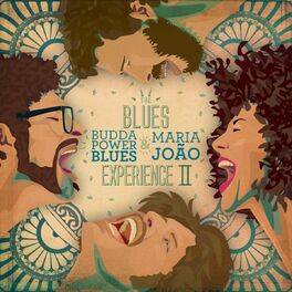 Album cover of The Blues Experience II