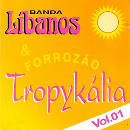 Album cover of Banda Líbanos & Forrozão Tropykália, Vol. 1