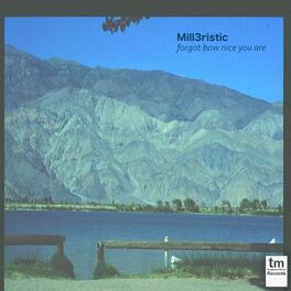 Album cover of forgot how nice you are