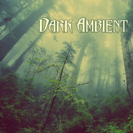 Dark Music Specialist & Ambient - Dark Ambient Music - Nature Sounds,  Creepy Soundscapes with Rain Background Sound: lyrics and songs | Deezer