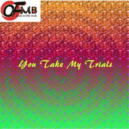 Album cover of You Take My Trials