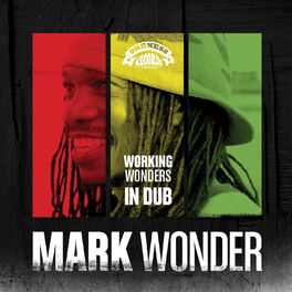 Album picture of Working Wonders in Dub