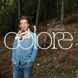 Album cover of Velluto