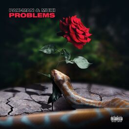 Album cover of Problems