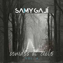 Album cover of Sonidos al Cielo, Vol. 4