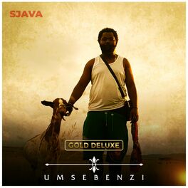 Album cover of Umsebenzi (Gold Deluxe)