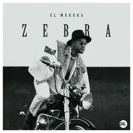 Album cover of ZEBRA
