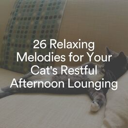 Album cover of 26 Relaxing Melodies for Your Cat's Restful Afternoon Lounging