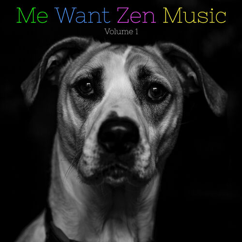 dog zen music