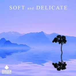 Album cover of Soft and Delicate