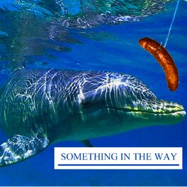 Album cover of Something in the Way