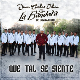Album picture of Que Tal Se Siente