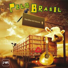 Album cover of Pelo Brasil