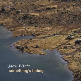 Album cover of something's hiding