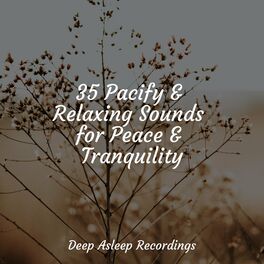 Album cover of 35 Pacify & Relaxing Sounds for Peace & Tranquility