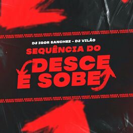Album cover of Sequência do Desce e Sobe (feat. Dj Vilão)