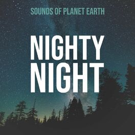 Album cover of Nighty Night