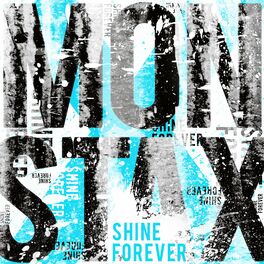 Album cover of SHINE FOREVER