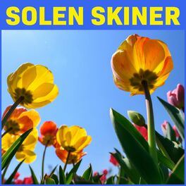 Album cover of Solen Skiner