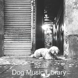 Album cover of Music for Reducing Dogs Stress