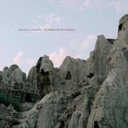 Album cover of Flores de Plástico