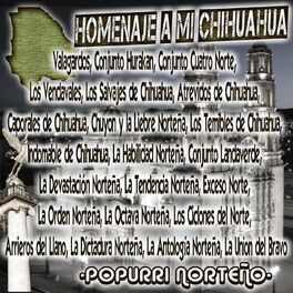 Album cover of Homenaje a Mi Chihuahua (Popurri Norteño) Hay Chihuahua / las Calles de Chihuahua / Viva Chihuahua