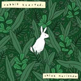 Album cover of Rabbit Hearted.