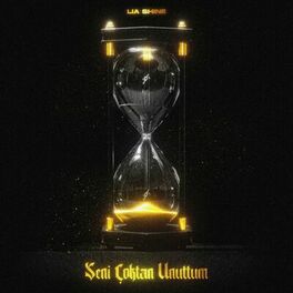 Album cover of Seni Çoktan Unuttum