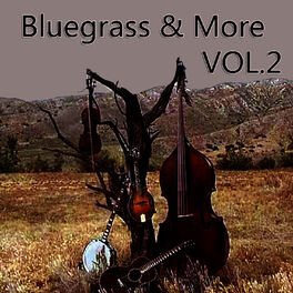 Album cover of Bluegrass & More, Vol. 2