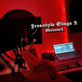 Album cover of Freestyle Stage 2 (feat. deLeón, Uzzi & RMB)