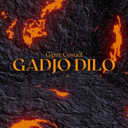 Album cover of Gadjo Dilo