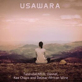 Album cover of Usawara (feat. Vannel, Kae Chaps & Delmar African Wine)