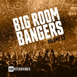 Album cover of Big Room Bangers, Vol. 13