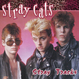 Album cover of Stray Tracks