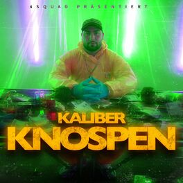 Album cover of Knospen
