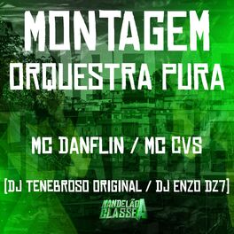 Album cover of Montagem Orquestra Pura