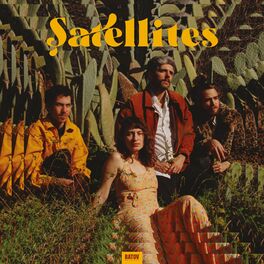 Album cover of Şatellites