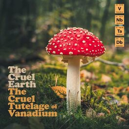 Album picture of The Cruel Tutelage of Vanadium