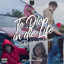 Album cover of Te Diep in die Life (feat. Sossa)