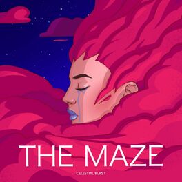 Album cover of The Maze