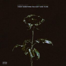 Album cover of I WANT SOMETHING YOU CANT GIVE TO ME