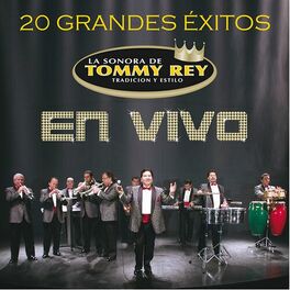 Album picture of 20 Grandes Éxitos (En Vivo)