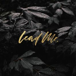 Album cover of Lead Me