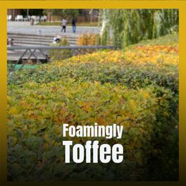 Album cover of Foamingly Toffee