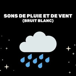 Album cover of Sons De Pluie Et De Vent (Bruit Blanc)