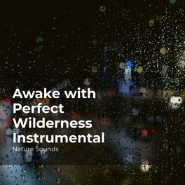 Album cover of Awake with Perfect Wilderness Instrumental