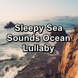 Album cover of Sleepy Sea Sounds Ocean Lullaby