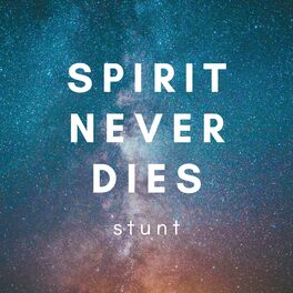 Album cover of Spirit Never Dies