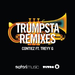 Album cover of Trumpsta (Remixes)