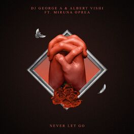 Album cover of Never Let Go (feat. Miruna Oprea & Albert Vishi)